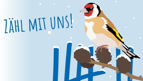 Stunde der Wintervögel 2023 BirdLife Österreich