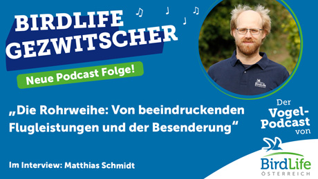 Podcast BirdLife Österreich